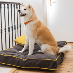 Coussin pour chien ROMEO Chocolat