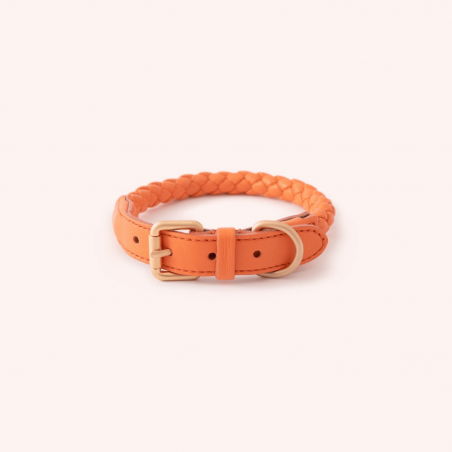 Collar FERDINANDO Mandarine 2.8