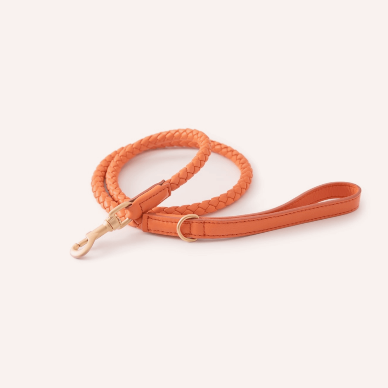 Leash FERDINANDO Tangerine 2.8