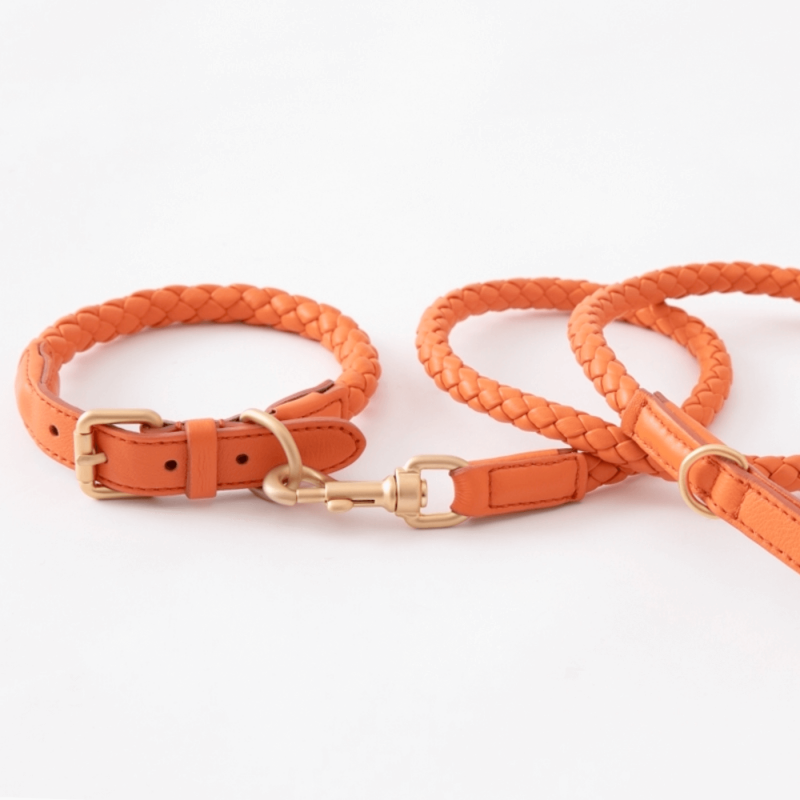 Laisse FERDINANDO Mandarine 2.8