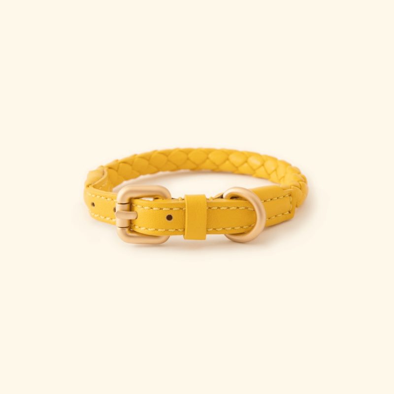 Collar FERDINANDO Tuscan Yellow 2.8