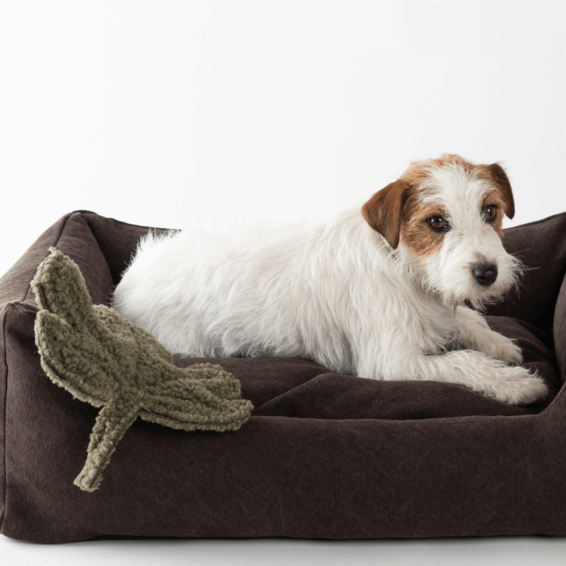 Jouet pour chien MIMMO Figuier 2.8