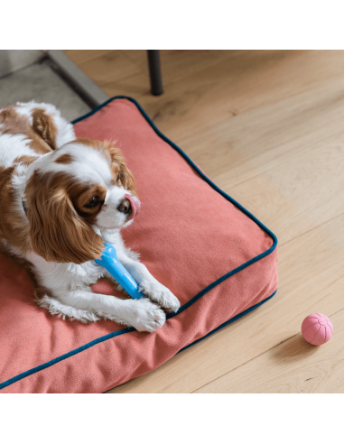 Coussin pour chien ROMEO - Litchi