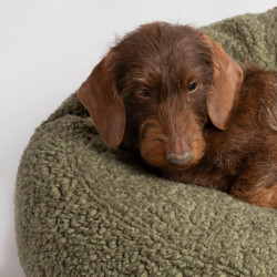 Coussin FULVIO Pistache 2.8 2