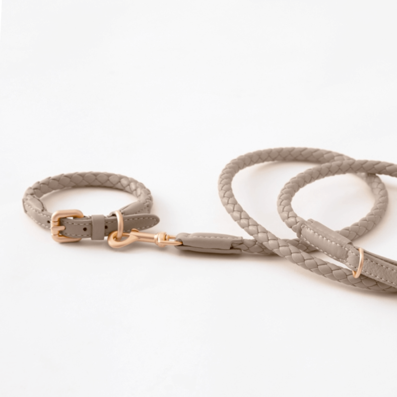 Laisse FERDINANDO Taupe 2.8
