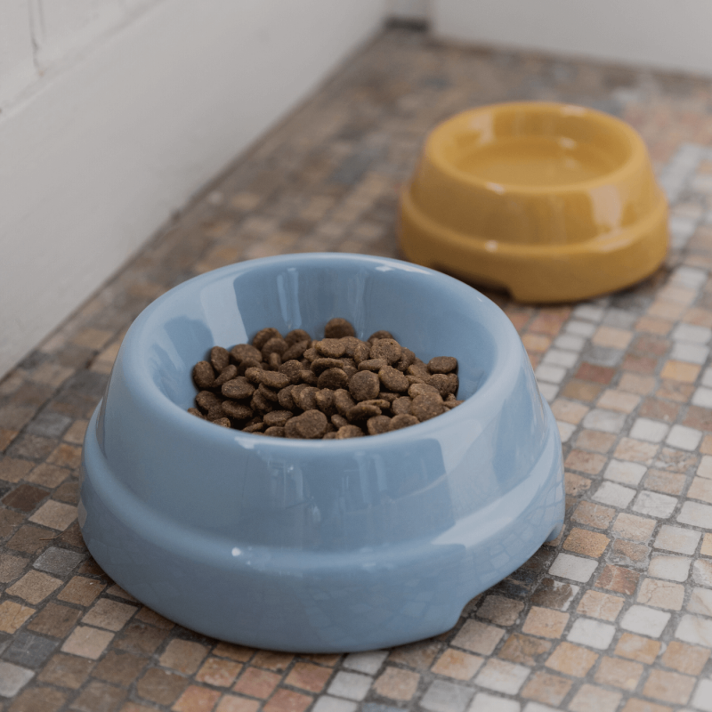 Bowl SEBASTIAO Blue 2.8