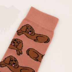 Cotton socks COCKER 2