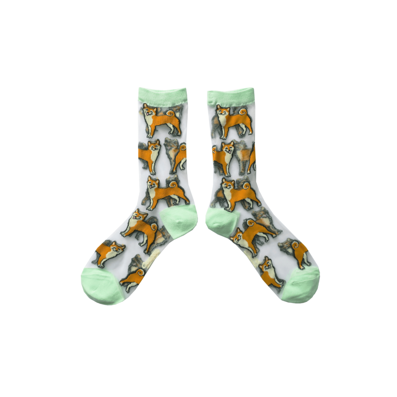 Chaussettes transparentes SHIBA